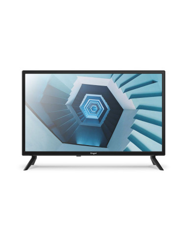 Comprar Online Televisor Ever-LED 24" HD/T2 Black