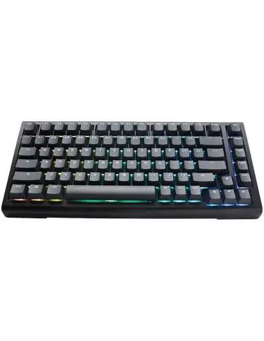 Ducky Tinker75 75% RGB Black MX Blue (ES)